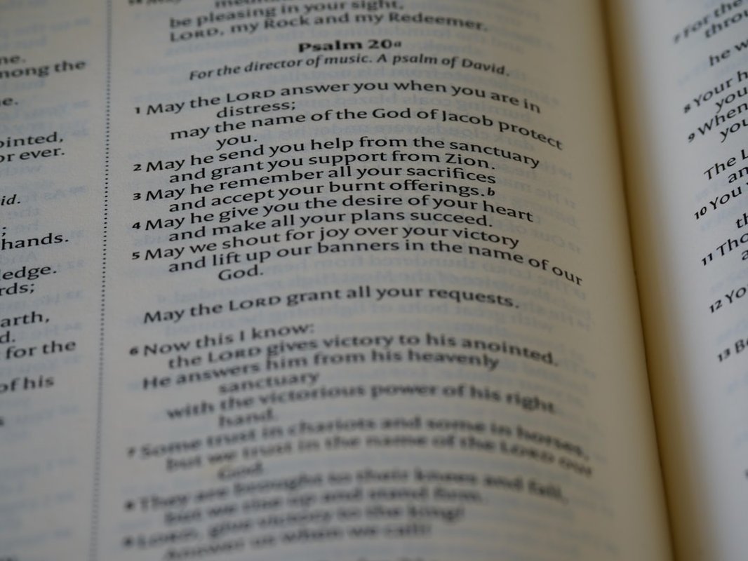 explian 48 laws of power - close up, bokeh, macro, blur, blurred background, close focus, bible, old testament, hebrew bible, christian, judaism, history, text, reading, bible study, devotions, text, NIV, New International Version, type, typography, canon, christianity, holy scripture, holy bible, scripture, old testament, hebrew bible, תְּהִלִּים, psalms, psalter, ketuvim, writings, tanakh, king david, 