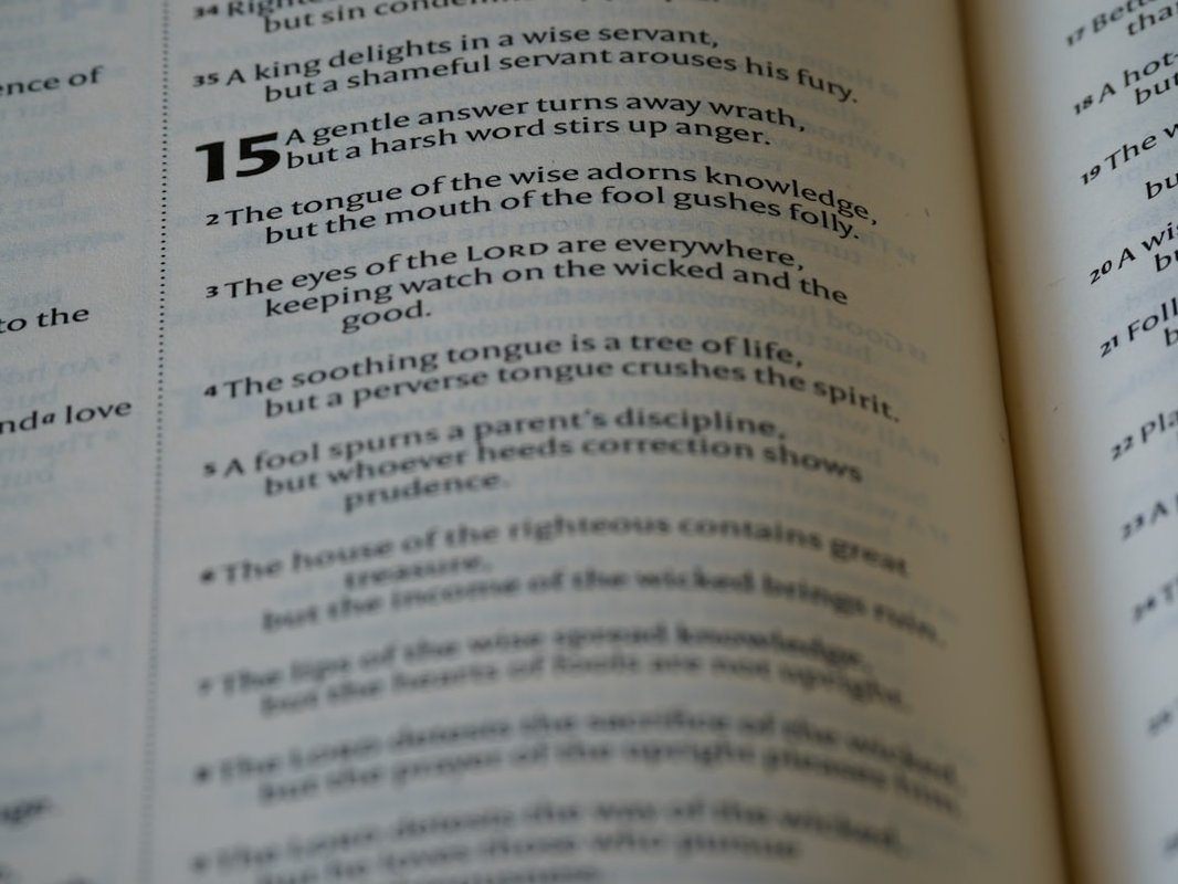 explian 48 laws of power concept - close up, bokeh, macro, blur, blurred background, close focus, bible, old testament, hebrew bible, christian, judaism, history, text, reading, bible study, devotions, text, NIV, New International Version, type, typography, canon, christianity, holy scripture, holy bible, scripture, old testament, hebrew bible, מִשְלֵי, book of proverbs, proverbs of solomon, wisdom literature, ketuvim, anthology, solomon, wisdom, sayings, mashai, folly, values, morality, proverbs, proverb, life skills, ancient wisdom, hebrew wisdom,