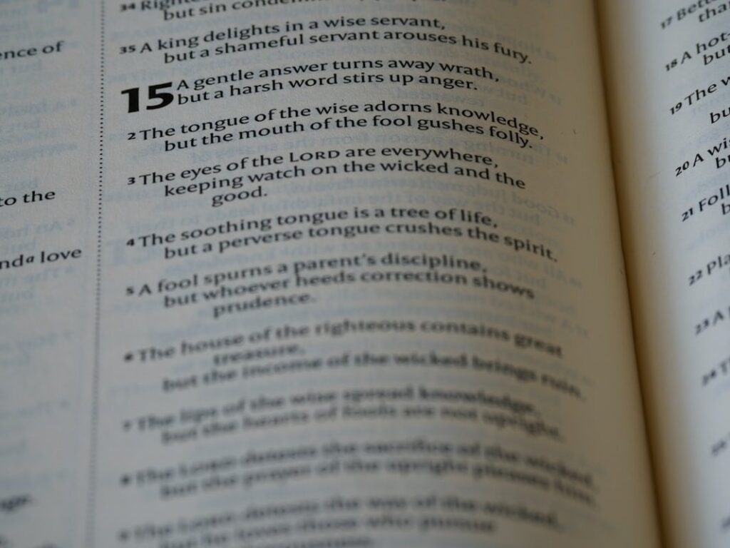 explian 48 laws of power - close up, bokeh, macro, blur, blurred background, close focus, bible, old testament, hebrew bible, christian, judaism, history, text, reading, bible study, devotions, text, NIV, New International Version, type, typography, canon, christianity, holy scripture, holy bible, scripture, old testament, hebrew bible, מִשְלֵי, book of proverbs, proverbs of solomon, wisdom literature, ketuvim, anthology, solomon, wisdom, sayings, mashai, folly, values, morality, proverbs, proverb, life skills, ancient wisdom, hebrew wisdom,